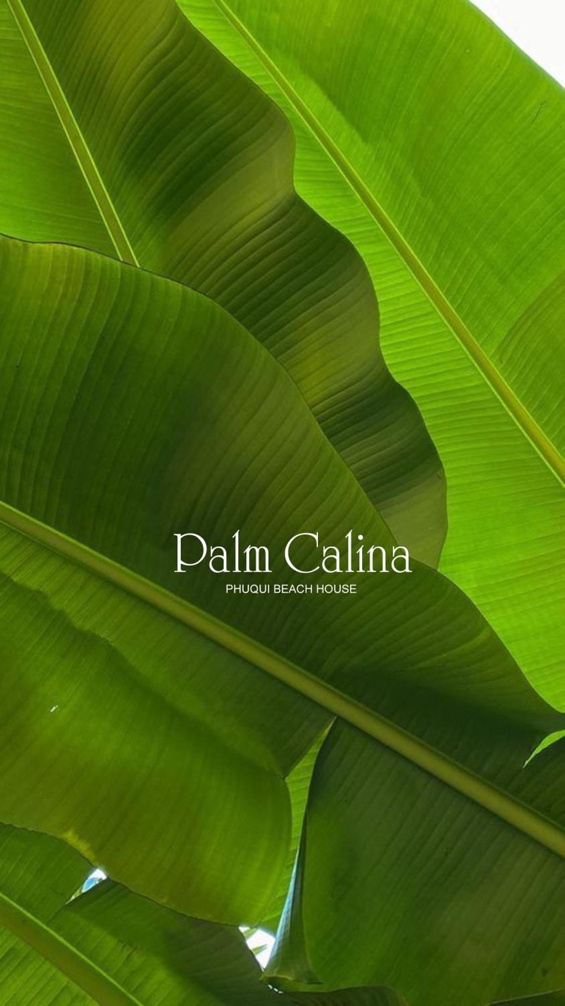 Palmcalina - Phuqui Beach House Cu Lao Thu Eksteriør bilde