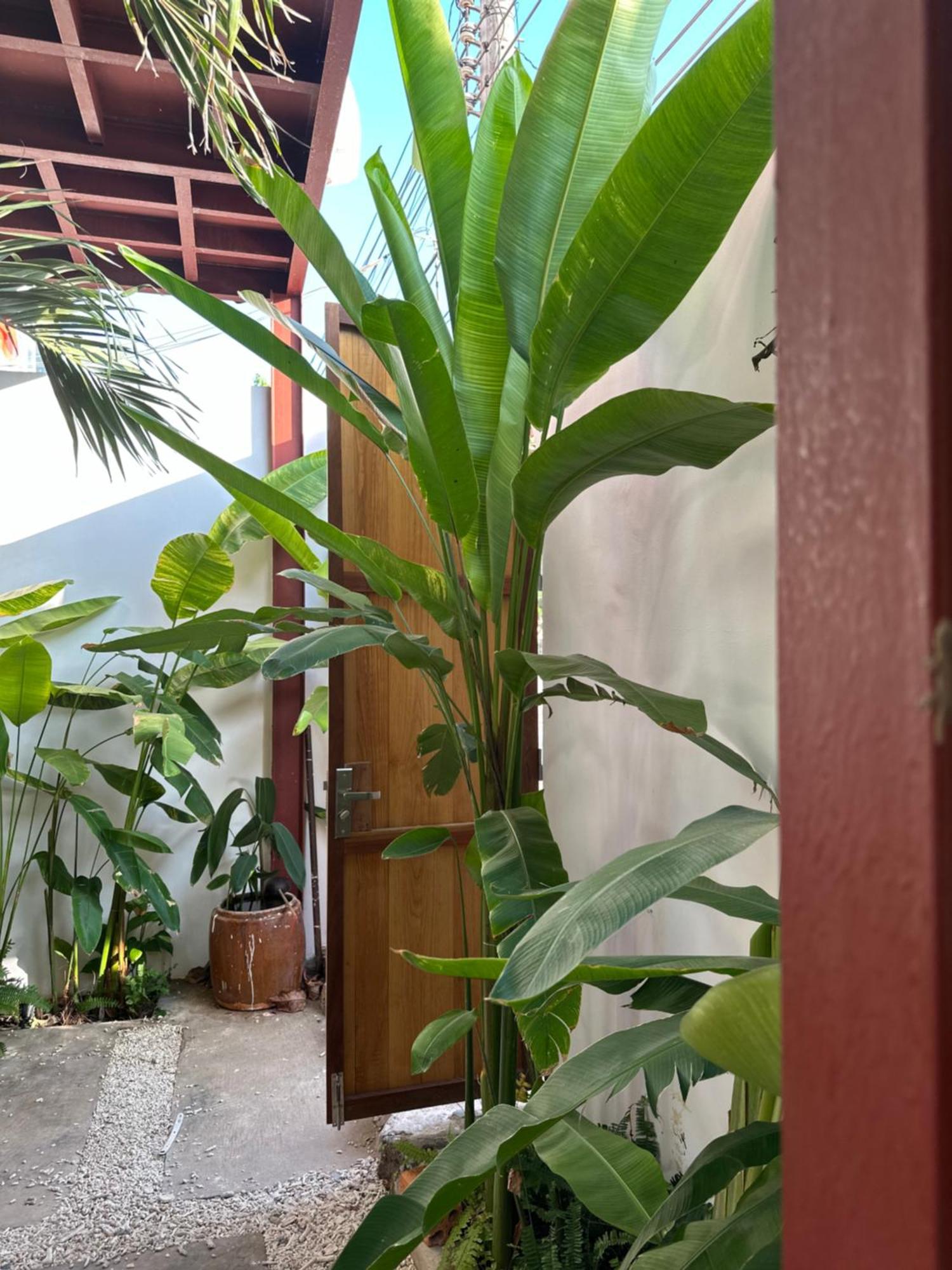 Palmcalina - Phuqui Beach House Cu Lao Thu Eksteriør bilde