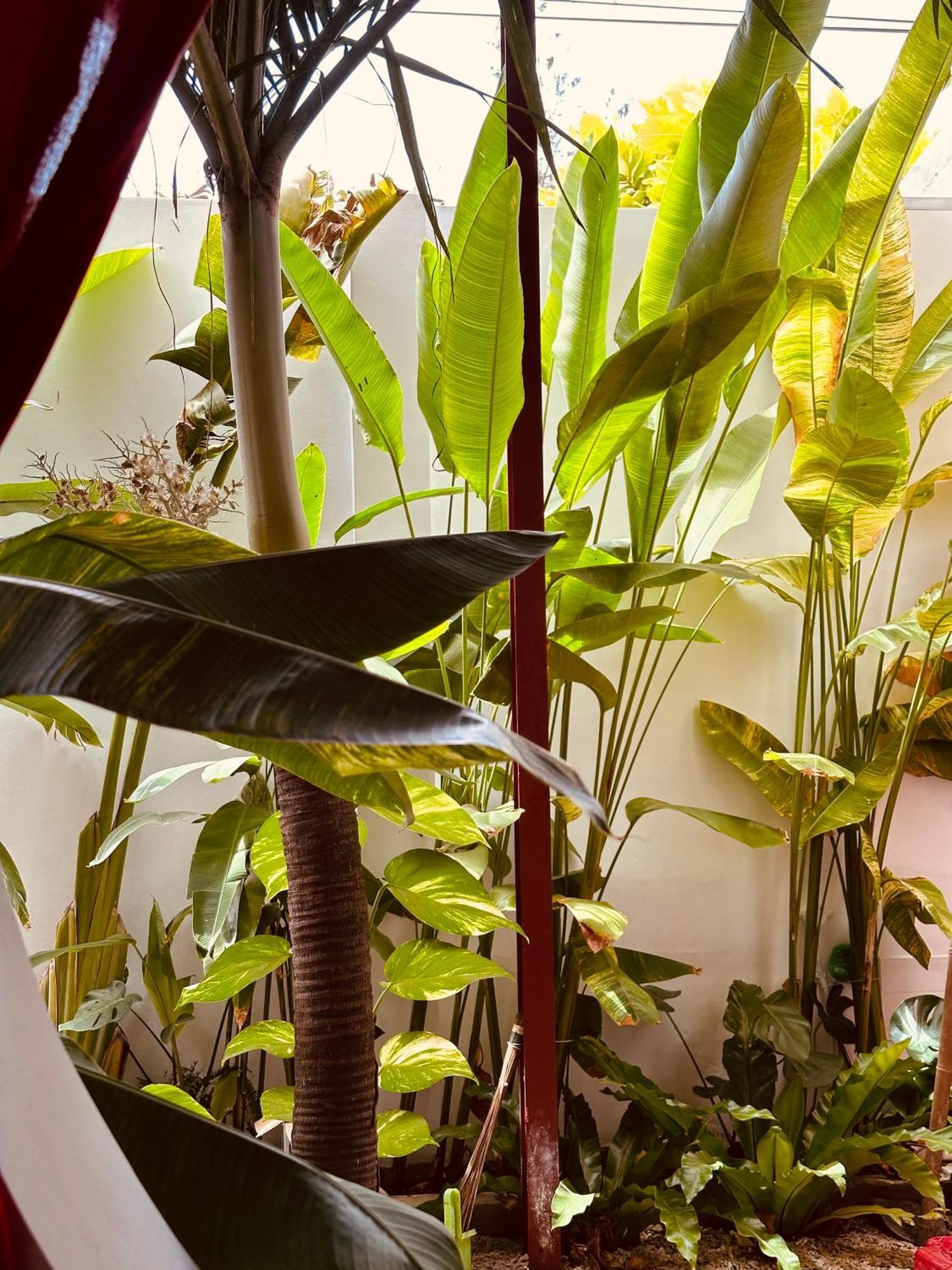 Palmcalina - Phuqui Beach House Cu Lao Thu Eksteriør bilde